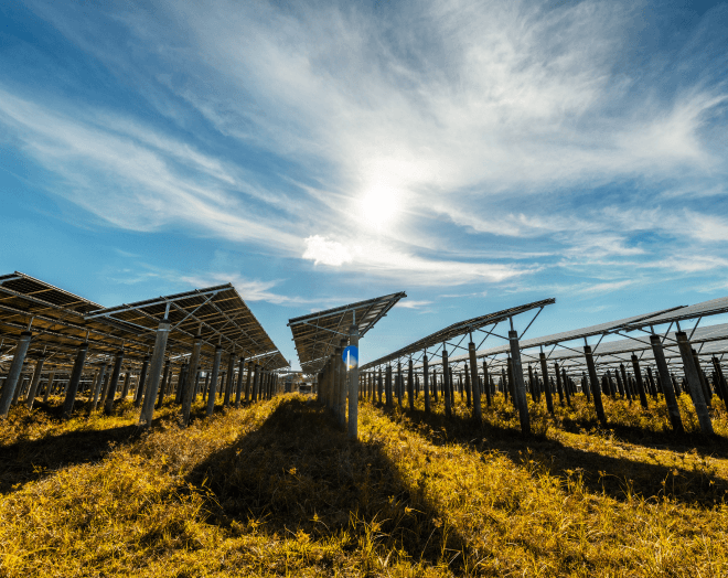 Solar Field שדה סולארי